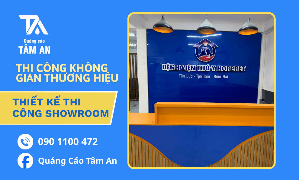 Thiết Kế Thi Công Showroom Chuyên Nghiệp Trọn Gói